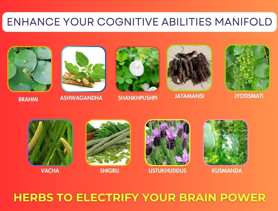 Buy Memory Booster tonic online